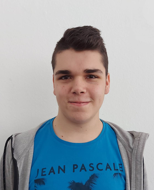 Karlos Ivanić